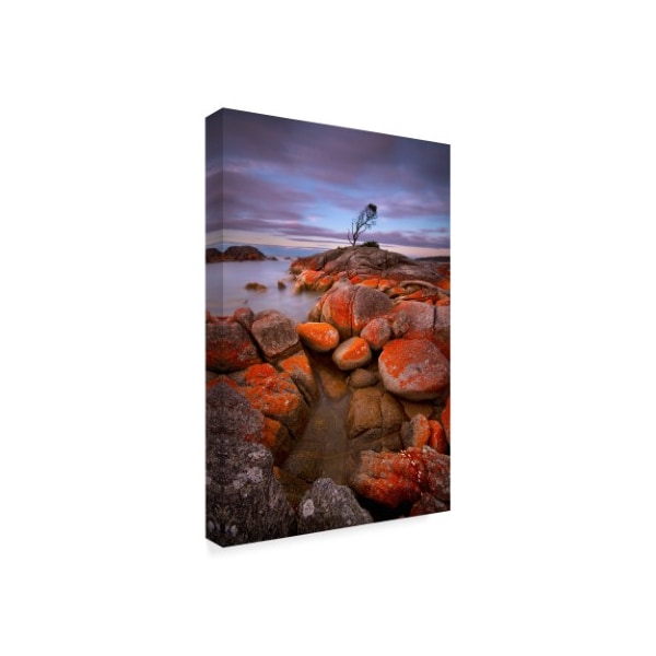 Everlook Photography 'Binalong Bay' Canvas Art,16x24